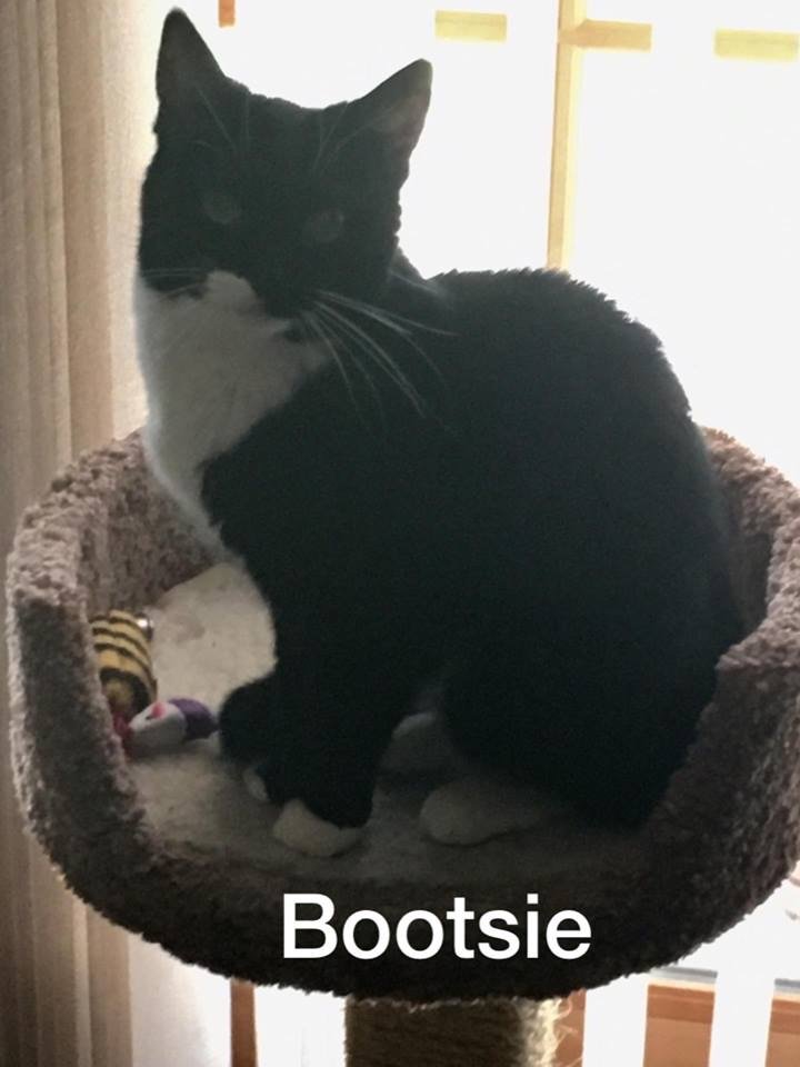 Bootsie Banta