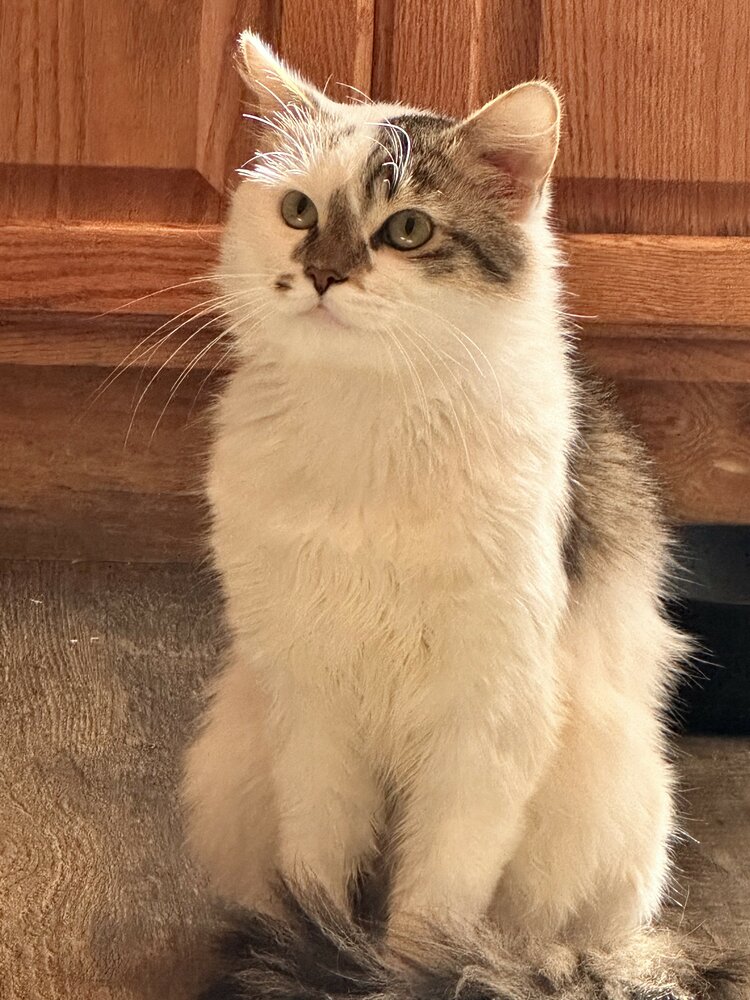 Coco Medina