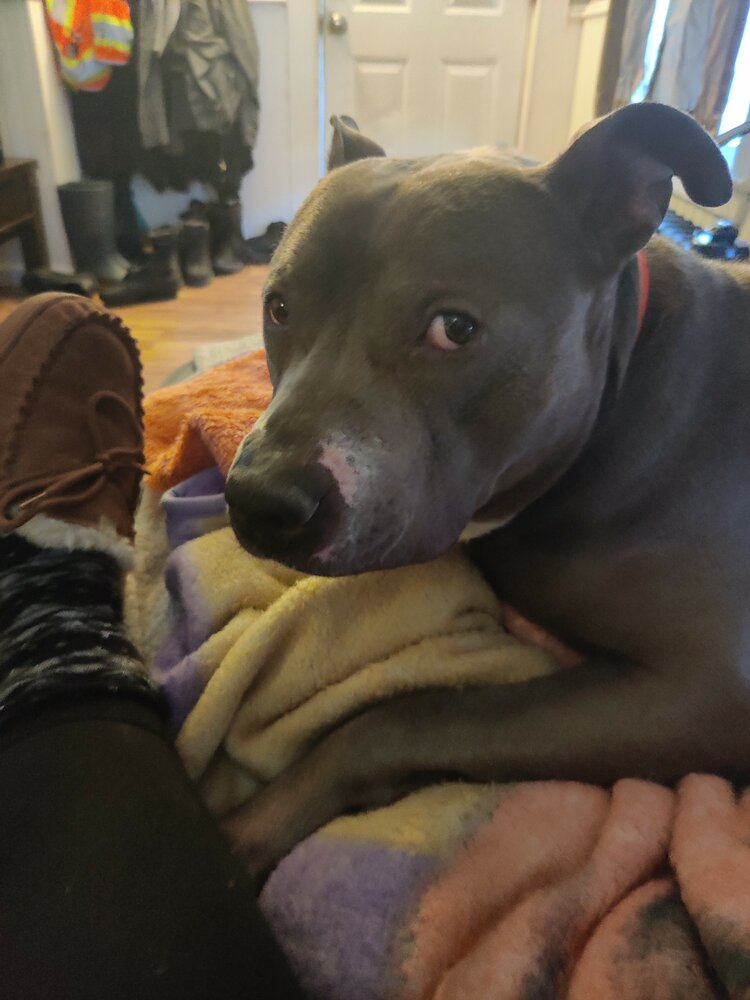 Zeus Curriden