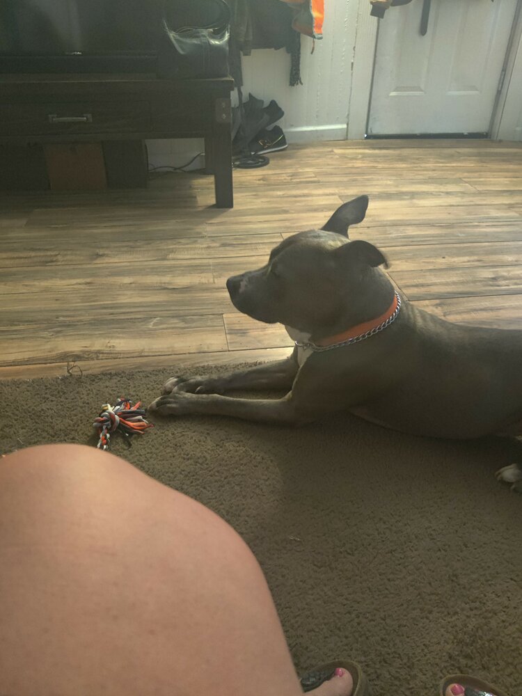 Zeus Curriden