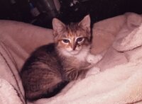 Fiona  Miller