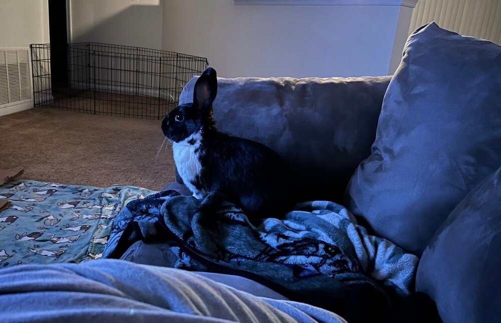 Funbun March