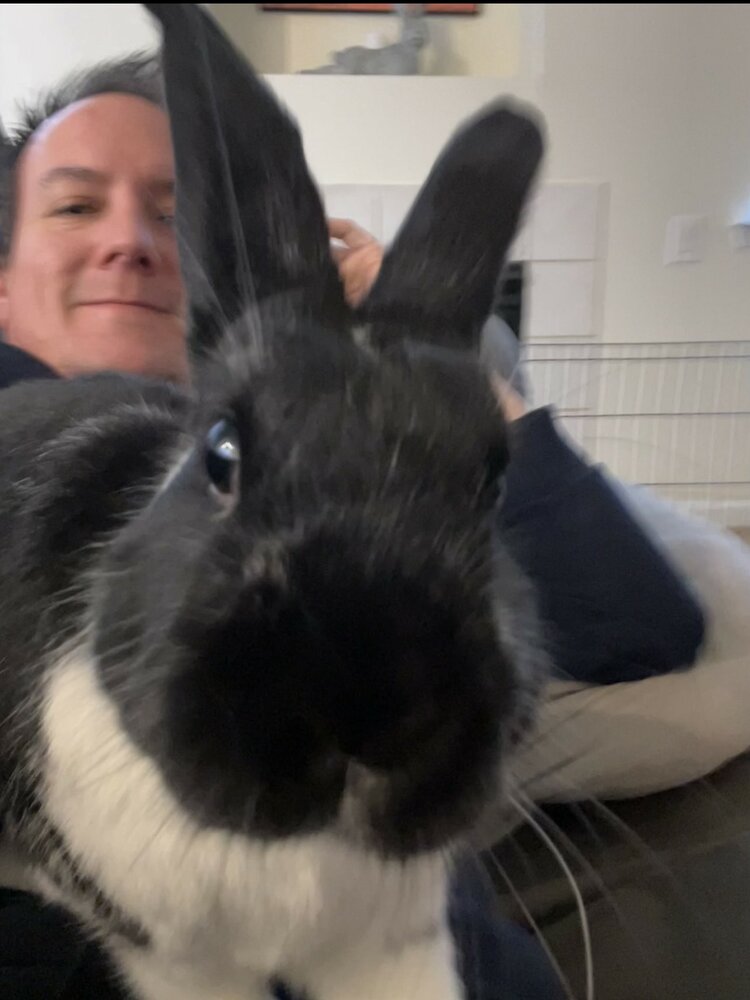 Funbun March