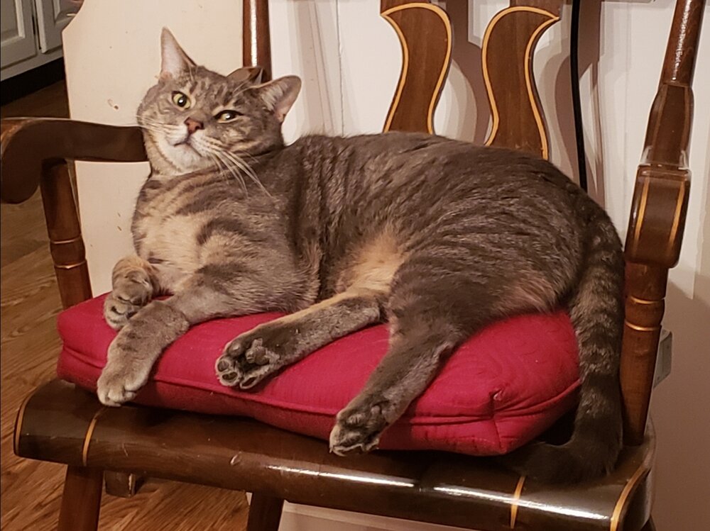 Kibby Scrafford