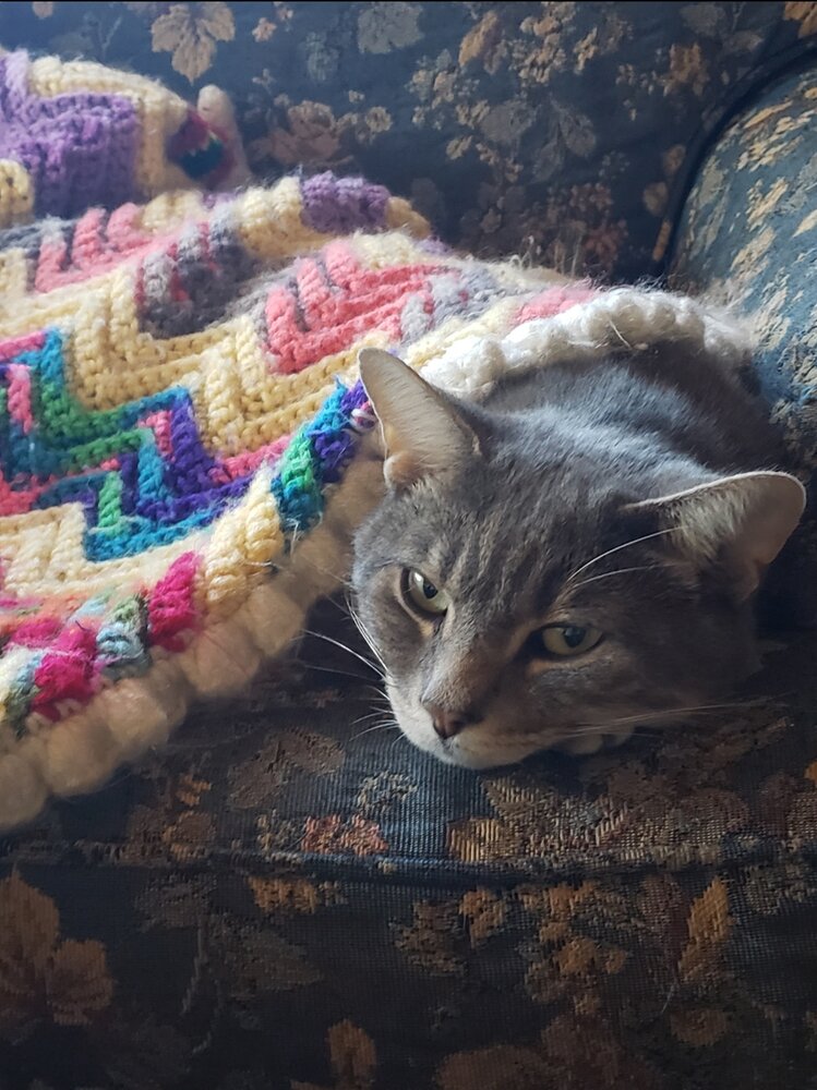 Kibby Scrafford