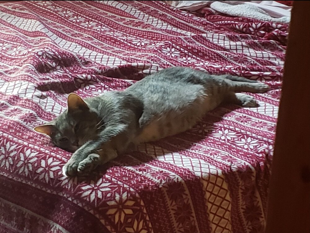 Kibby Scrafford