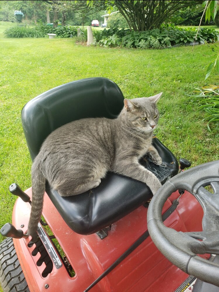 Kibby Scrafford
