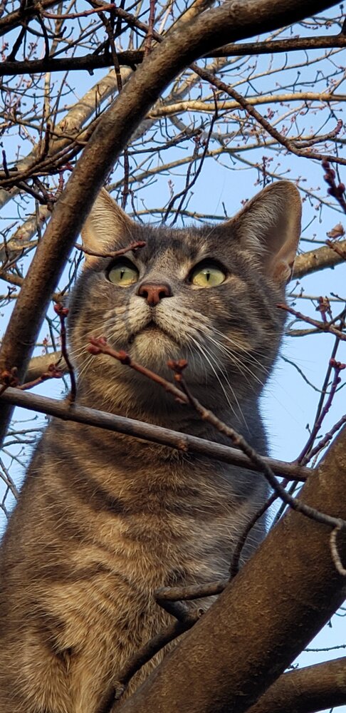 Kibby Scrafford