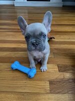 Petey  Daniels