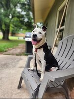 Brutus  O'Neil
