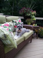 Maxwell "Bubby"  Steen