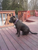 Capone  Connell