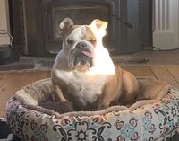 Luna  Sickler