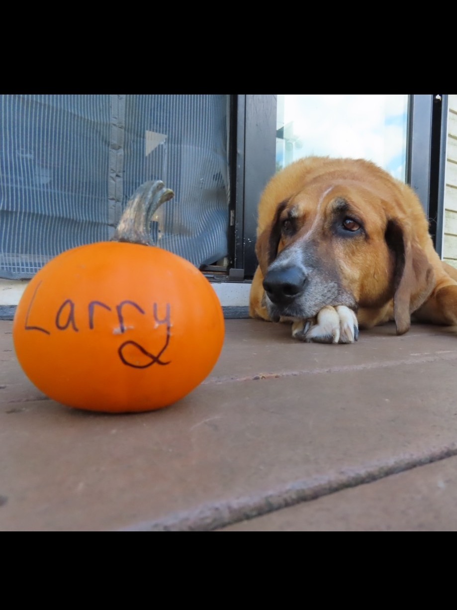 Larry Greene